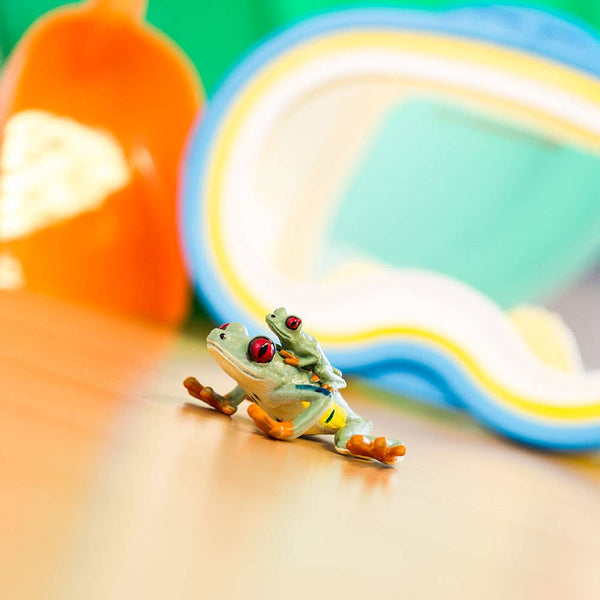 Red - Eyed Tree Frog - 100120