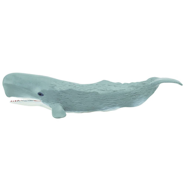 Sperm Whale - 275529