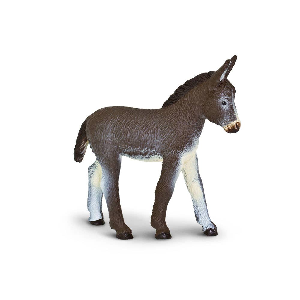 Donkey Foal - 249929