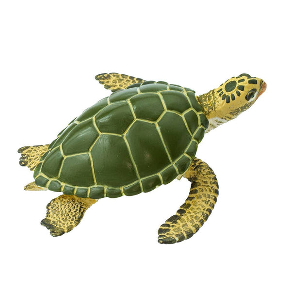 Green Sea Turtle - 274329