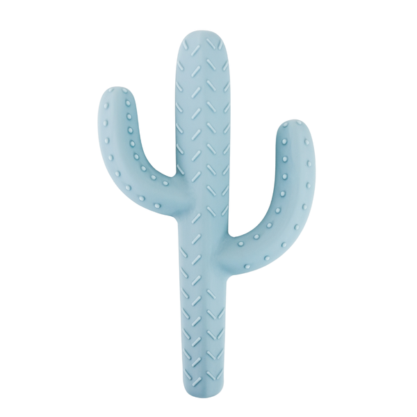 Cactus Teether Toy