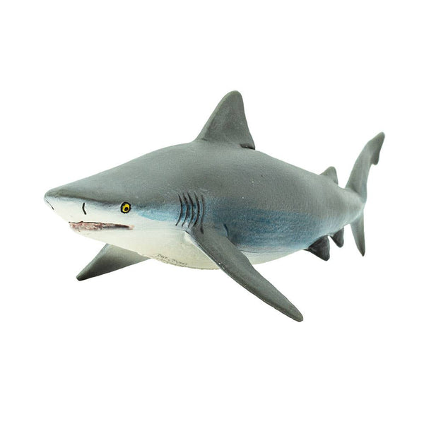 Bull Shark - 422429