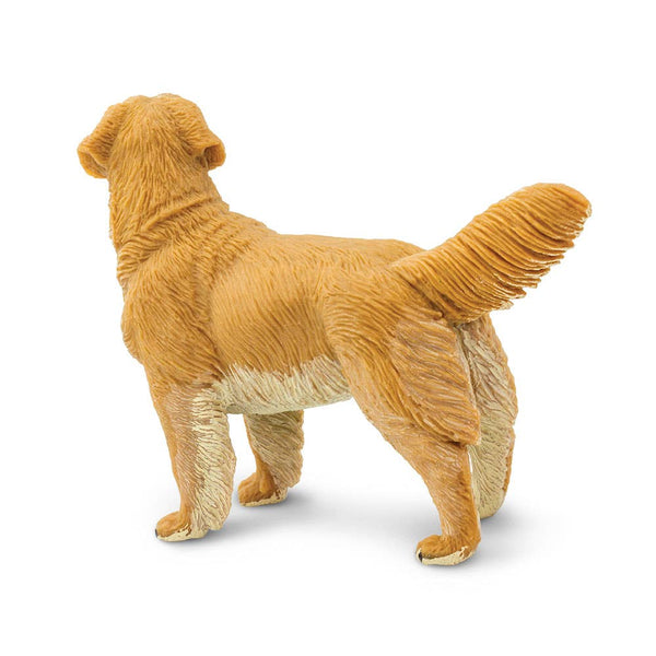 Golden Retriever - 253129