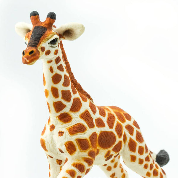 Reticulated Giraffe Baby - 268529