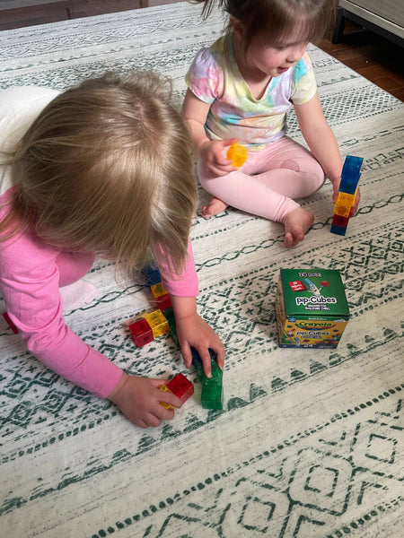 Crayola Bold PIP Cubes Magnetic Building Cubes 24pc