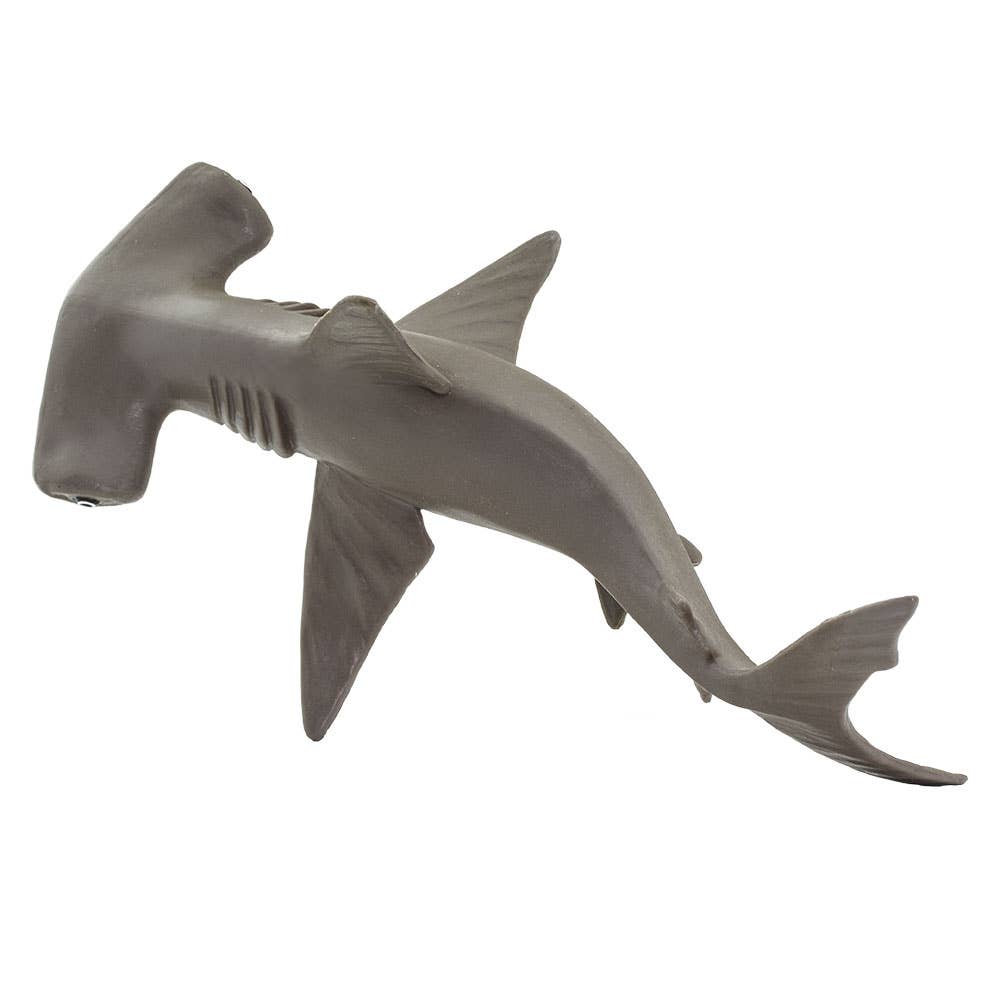 Hammerhead Shark Baby - 267929 – Posey & Jett's