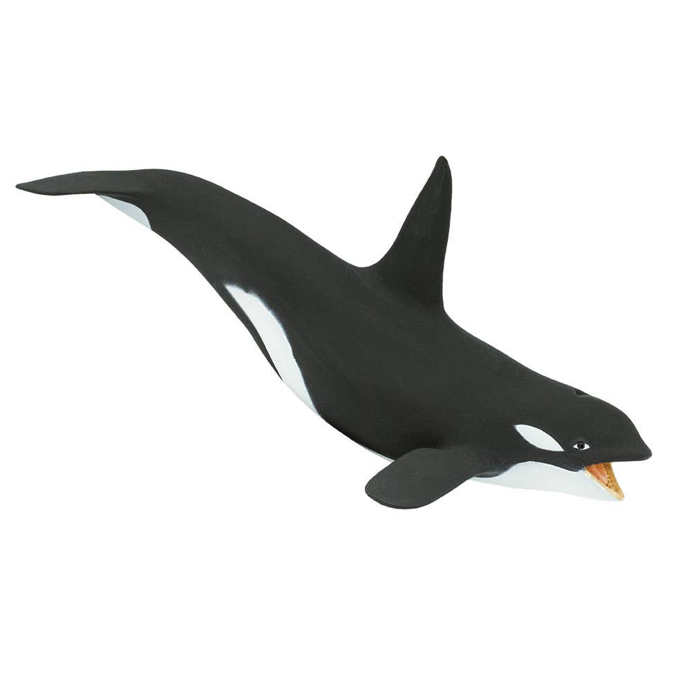 Killer Whale - 275129