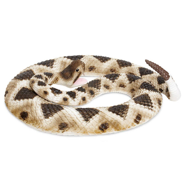 Eastern Diamondback Rattlesnake - 269329