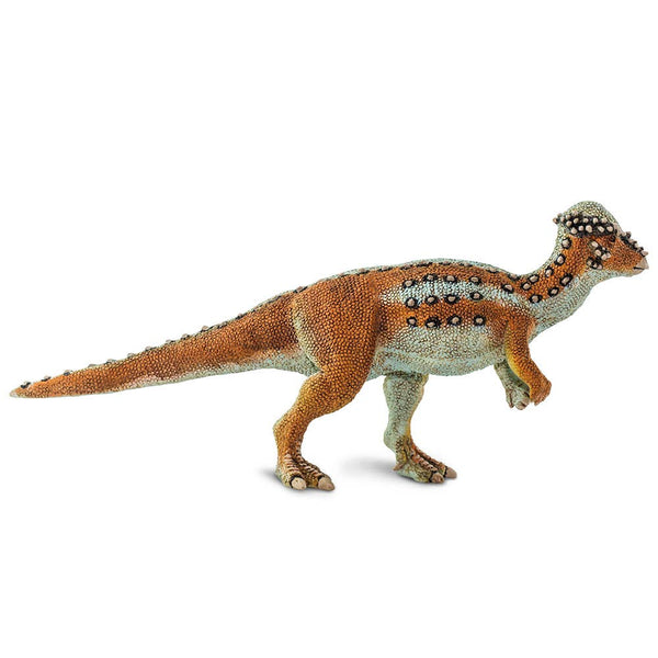 Pachycephalosaurus - 100350