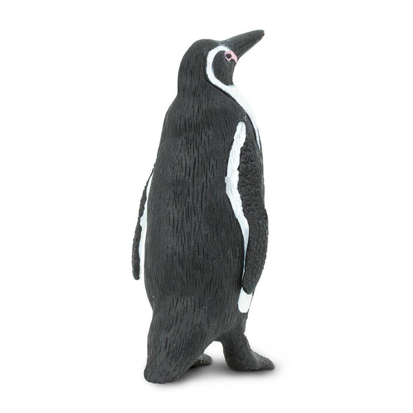 Humboldt Penguin - 276229