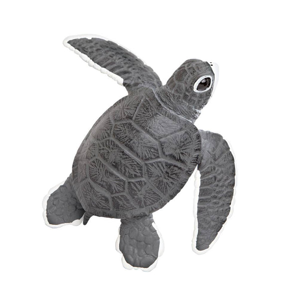 Sea Turtle Baby - 268129