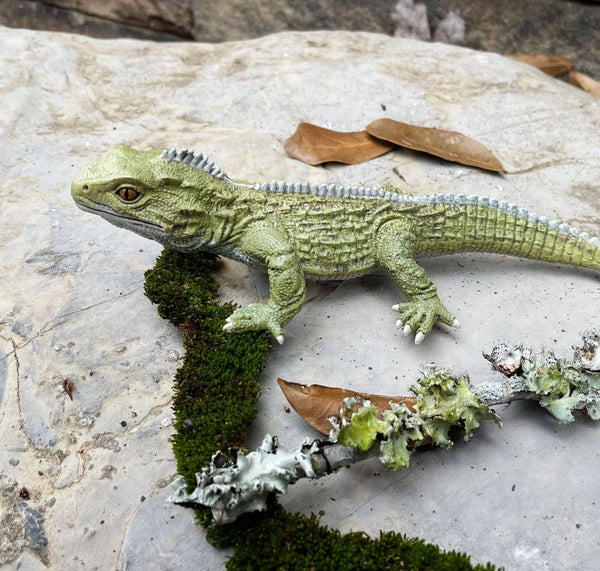 Tuatara