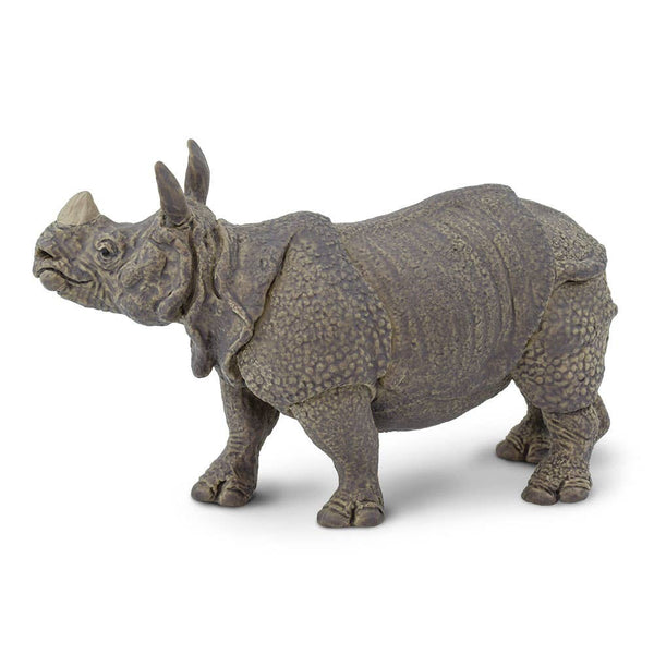 Indian Rhino - 297329