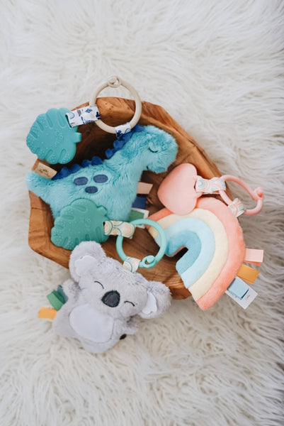 Itzy Pal™ Plush + Teether: Dino