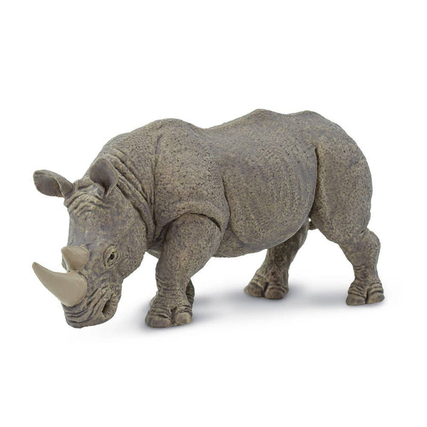 White Rhino - 270229