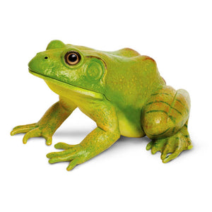 American Bullfrog Figurine Toy