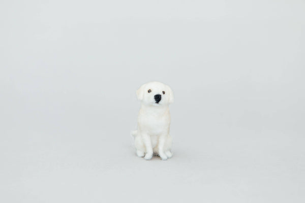 Paige and Tate Little Felted Friends: Labrador Retriever Needle-Felting Kit