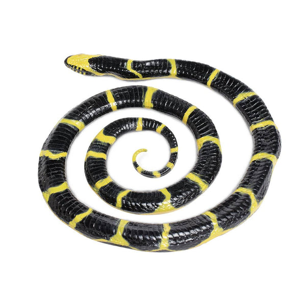 Chain Kingsnake - 257929