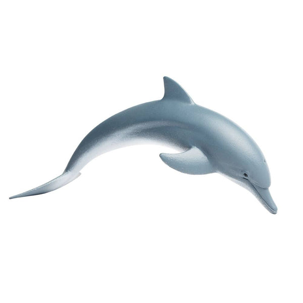 Dolphin - 200129