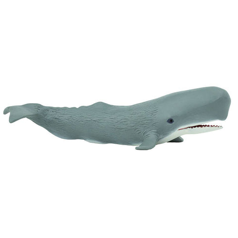 Sperm Whale - 275529