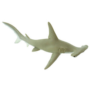 Hammerhead Shark - 274829