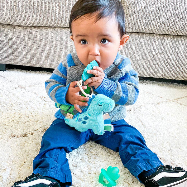 Itzy Pal™ Plush + Teether: Dino