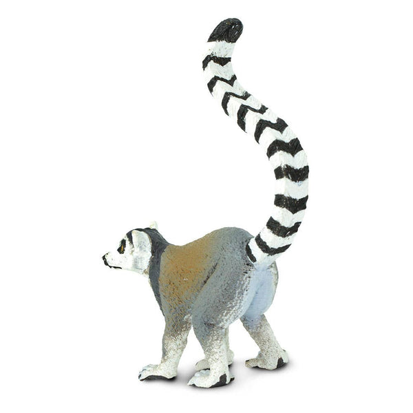 Ring - Tailed Lemur - 292229