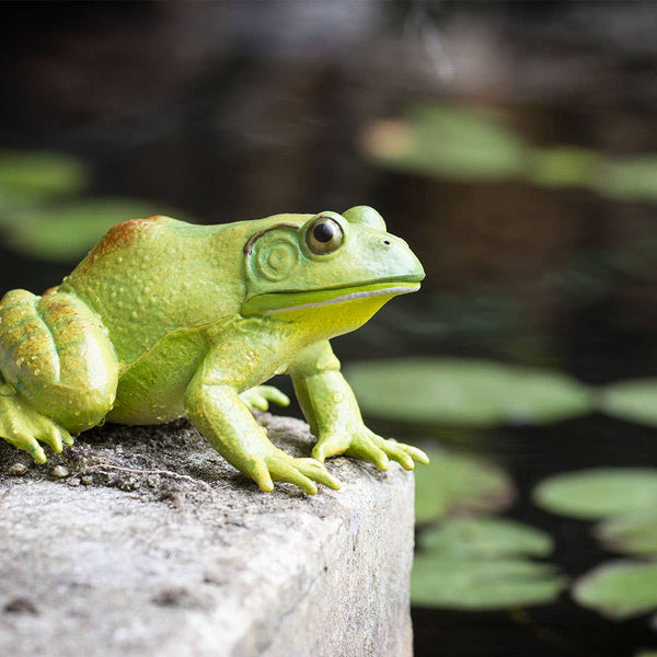 American Bullfrog Figurine Toy