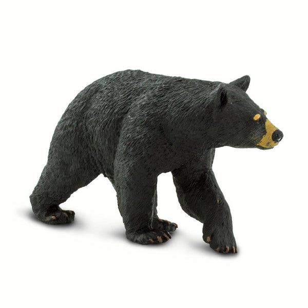 Black Bear - 273529