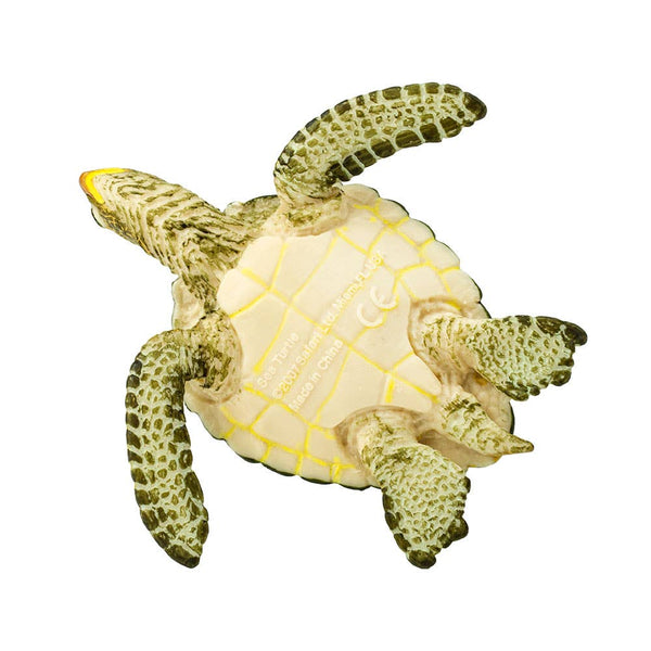 Green Sea Turtle - 274329