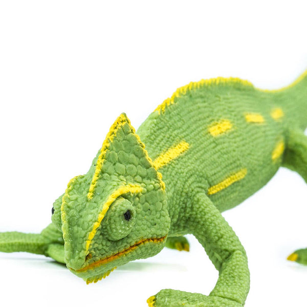 Veiled Chameleon Baby - 261029