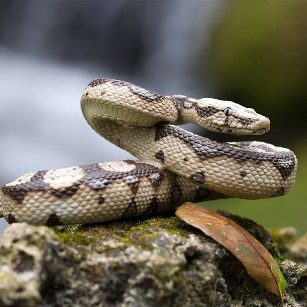 Boa Constrictor Figurine Toy