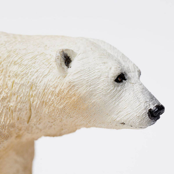 Polar Bear - 273329