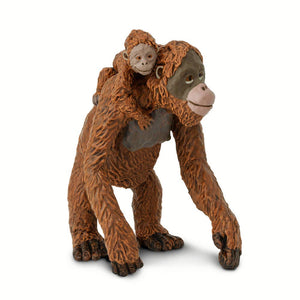 Orangutan With Baby - 293529