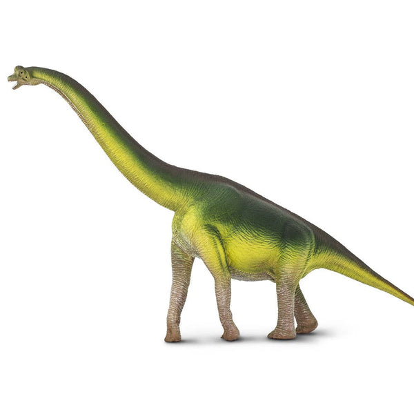 Brachiosaurus - 300229