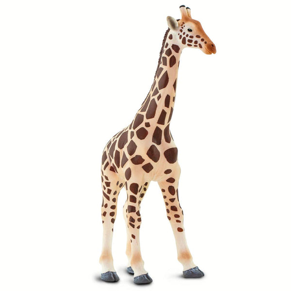 Giraffe - 100421