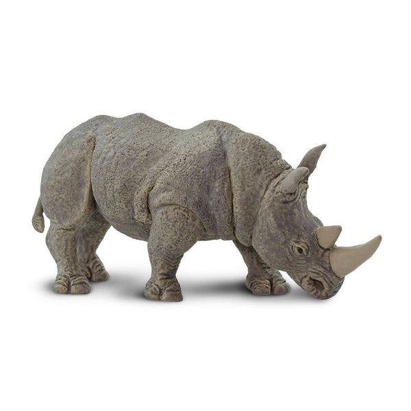 White Rhino - 270229