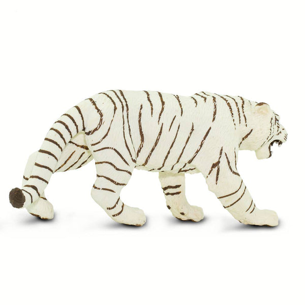 White Bengal Tiger - 273129