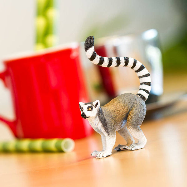 Ring - Tailed Lemur - 292229