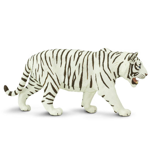 White Siberian Tiger - 112089