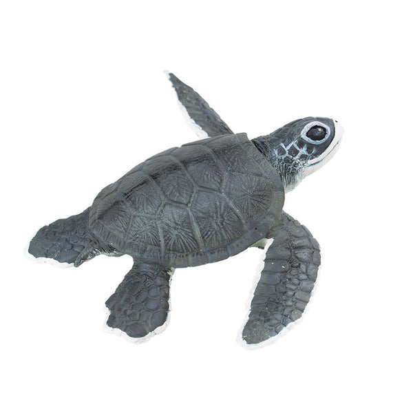 Sea Turtle Baby - 268129