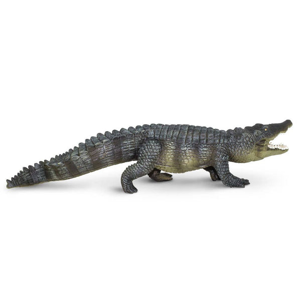 Saltwater Crocodile - 262629