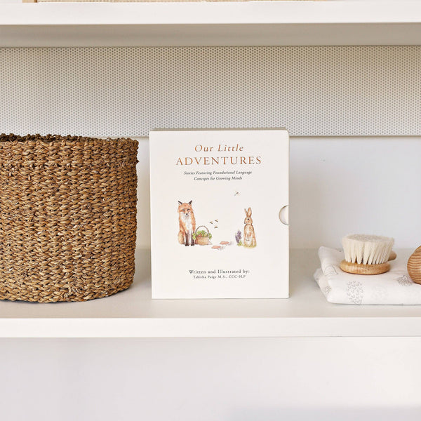 Paige and Tate Our Little Adventures Board Book Box Set for Kids