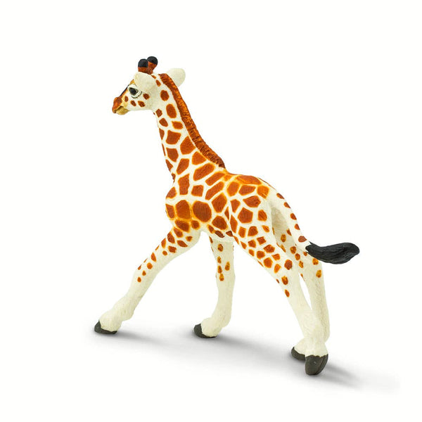 Reticulated Giraffe Baby - 268529