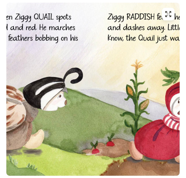 Bukowski Bears Book Z is for Ziggy
