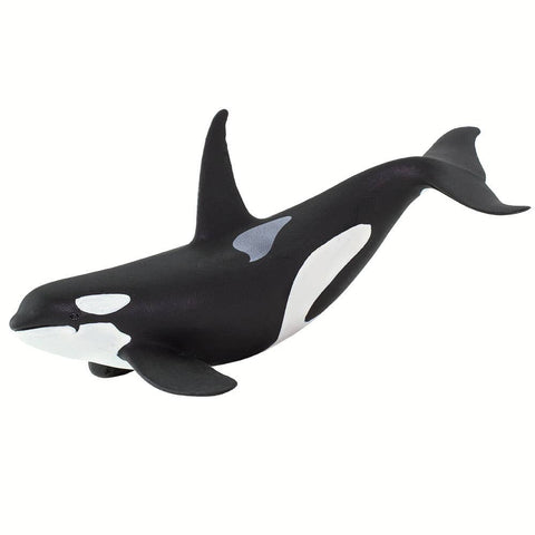 Orca - 100232