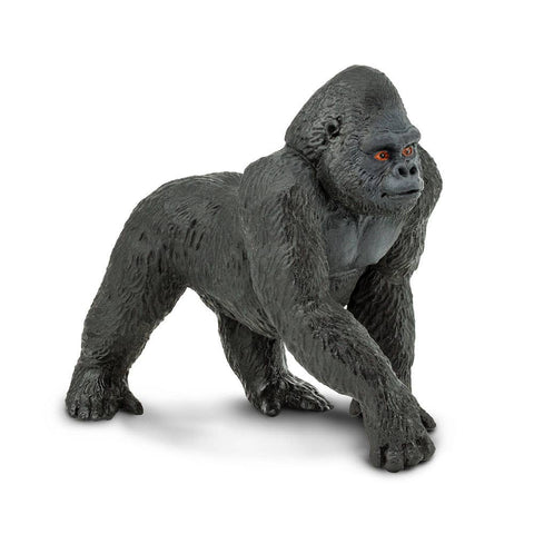 Lowland Gorilla - 282829