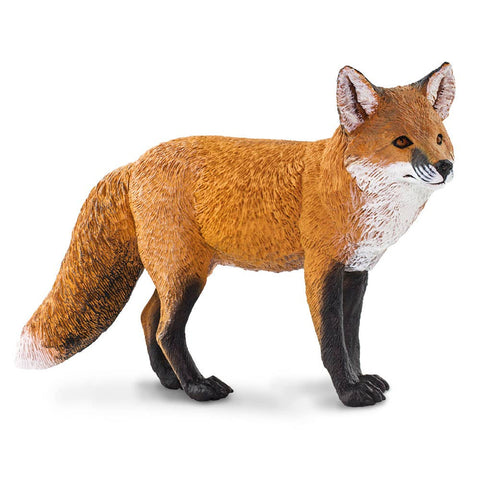 Red Fox - 100361