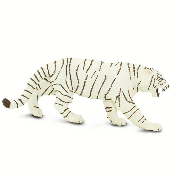 White Bengal Tiger - 273129