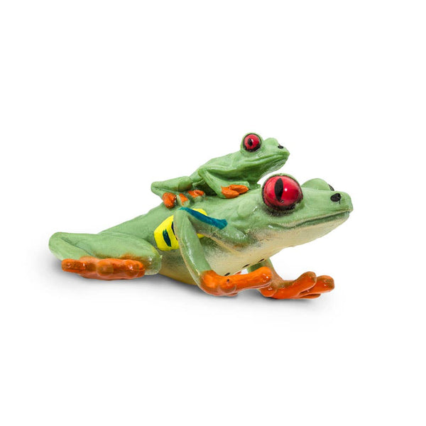 Red - Eyed Tree Frog - 100120